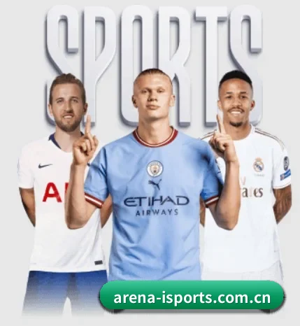 五大服务分区,信息按项目分类（iQIYI Sports）
